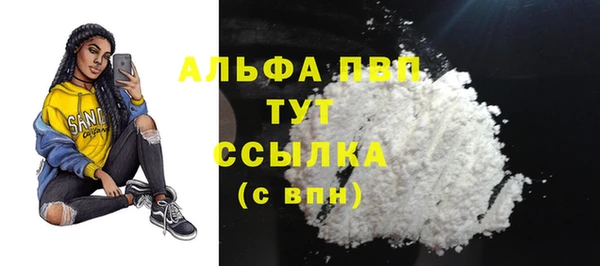 гидра Краснослободск
