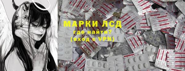 прущие грибы Краснотурьинск